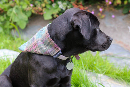 Scottish Tweed Dog Bandana