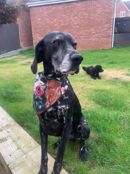 Scottish Tweed Dog Bandana