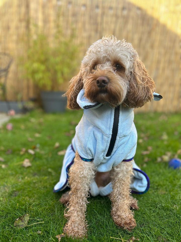 Dog drying coats with on sale legs